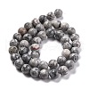 Natural Map Stone/Picasso Stone/Picasso Jasper Round Beads Strands G-E329-8mm-47-2