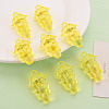 Autumn Theme Transparent Acrylic Beads TACR-S154-60B-916-6