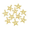 Tibetan Style Alloy Pendants K08TM011-3