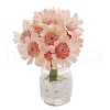 Miniature Chrysanthemum Potted PW-WGBF081-01-5