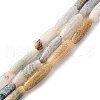 Natural Weathered Agate Beads Strands G-P570-C02-01-1
