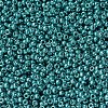 MIYUKI Round Rocailles Beads SEED-G007-RR1075-3
