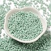 Glass Seed Beads SEED-K009-02A-04-2