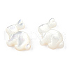 Natural White Shelll Beads SSHEL-N032-60-4