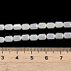 Electroplate Glass Beads Strands EGLA-D031-01D-4