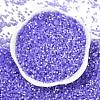 Imitation Cat Eyes Glass Seed Beads X-SEED-H003-03U-3