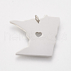 Tarnish Resistant 201 Stainless Steel Pendants STAS-T038-65-2