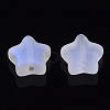 Electroplate Glass Beads X-GLAA-N035-01-C02-2