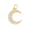 Rack Plating Brass Micro Pave Clear Cubic Zirconia Charms KK-Z060-09G-03-1