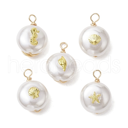 ABS Plastic Imitation Pearl Pendants PALLOY-JF02601-04-1