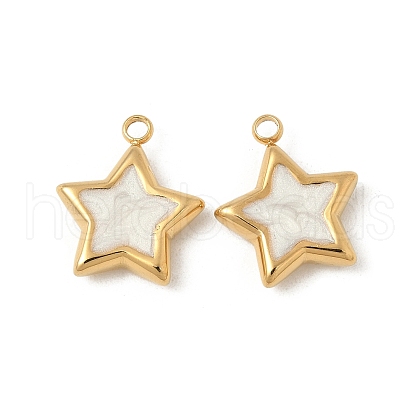 304 Stainless Steel Enamel Charms STAS-V015-37G-1