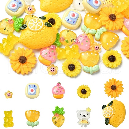 30Pcs 10 Styles Resin Decoden Cabochons CRES-YW0002-15-1