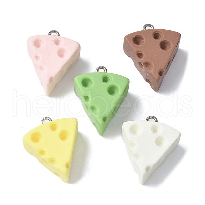 16Pcs 16 Styles Resin Pendants RESI-V001-07-1