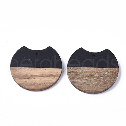 Resin & Walnut Wood Pendants X-RESI-T023-A-11C-1