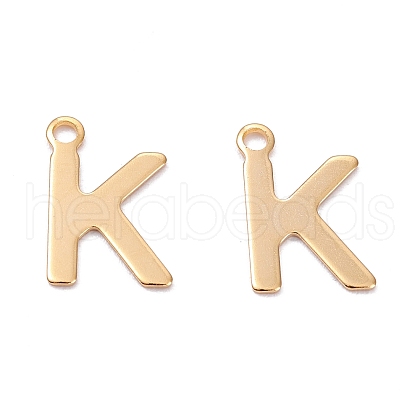 201 Stainless Steel Charms STAS-C021-06G-K-1