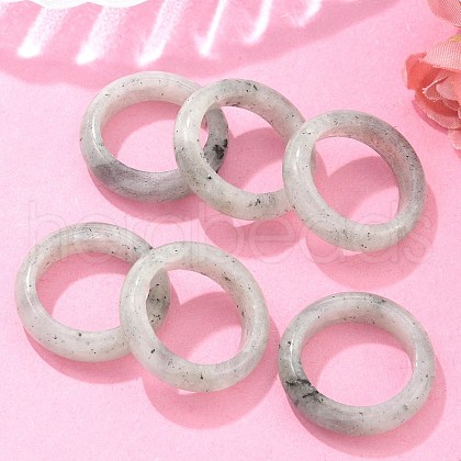 Natural Labradorite Plain Band Rings PW-WG25917-07-1