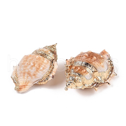 Natural Conch Shell Big Pendants SSHEL-N038-22-1