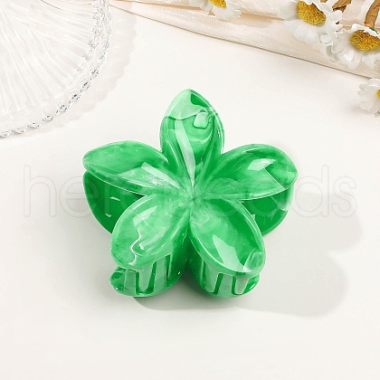 Plastic Claw Hair Clips for Women Girls PW-WGB2E8F-07-1