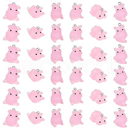 36Pcs 6 Styles Luminous Translucent Resin Pendants RESI-SZ0003-30-1