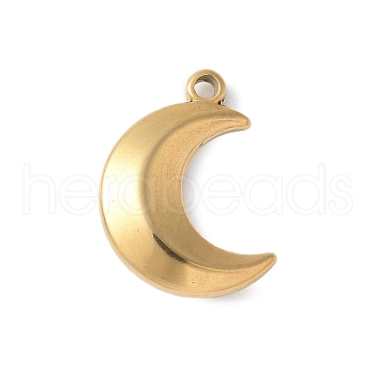304 Stainless Steel Pendants STAS-E548-05G-1