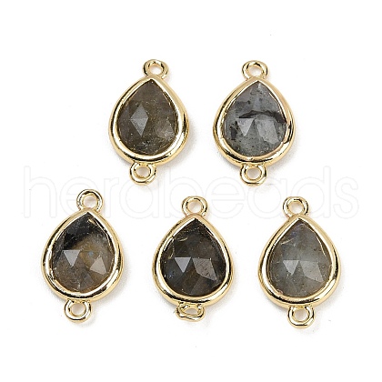 Natural Labradorite Faceted Connector Charms G-L514-048P-05-1