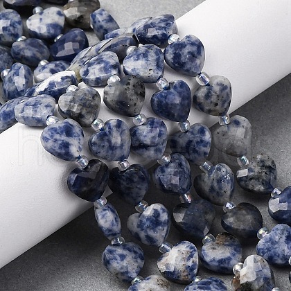Natural Blue Spot Jasper Beads Strands G-P570-E19-01-1