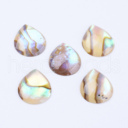 Natural Paua Shell Cabochons SSHEL-F301-26-1