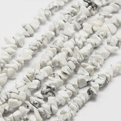 Natural Howlite Beads Strand G-F328-05-1