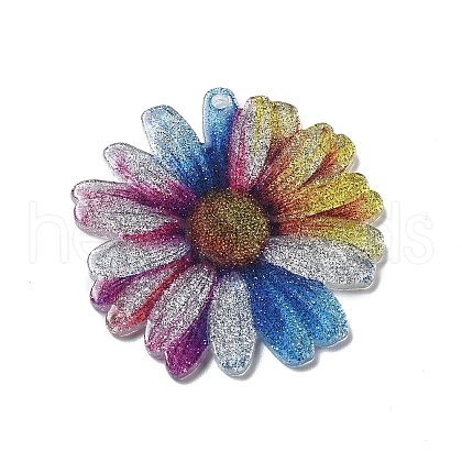 Acrylic Pendants OACR-I016-04B-1