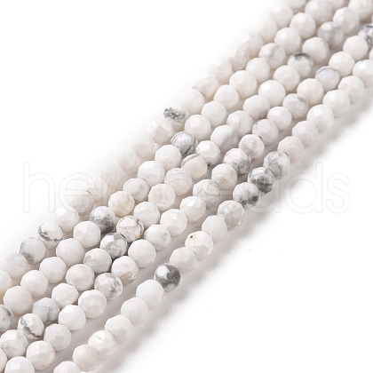 Natural Howlite Beads Strands G-H273-02A-1