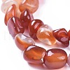 Natural Agate Beads Strands G-I256-01F-3