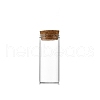 Glass Empty Wishing Bottle PW-WG70594-05-1