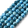Natural Apatite Beads Strands G-S150-18-8mm-2