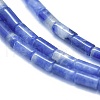 Natural Sodalite Beads Strands G-F631-B09-3