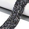 Natural Sapphire Beads Strands G-P553-G07-02-6