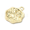 Alloy Pendants PALLOY-S188-03G-2