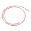 Natural Freshwater Shell Beads Strands SHEL-P017-01A-09-2