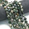 Natural Tree Agate Beads Strands G-C116-A150-01-1