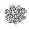 60Pcs 10G Baking Paint Glass Seed Beads GLAA-V001-06D-1