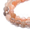 Natural Multi-Moonstone Beads Strands G-P457-A01-24-2