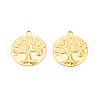 Ion Plating(IP) 201 Stainless Steel Pendants STAS-T063-186G-2