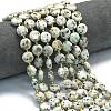 Natural Sesame Jasper Beads Strands G-C116-A141-01-1