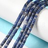 Natural Sodalite Beads Strands G-E612-A12-4