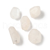 Natural Rainbow Moonstone Beads G-D307-A04-1