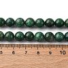 Natural Fuchsite Beads Strands G-K393-A02-8mm-5