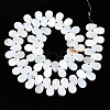 Natural Freshwater Shell Beads Strands SHEL-Q024-007-2