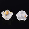 Frosted Transparent Acrylic Beads X-OACR-N137-72A-3