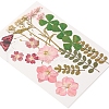 Pressed Dried Flowers DIY-YWC0001-95-4