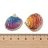 Sea Shell Pendants SSHEL-B002-07G-02-3