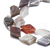 Natural Botswana Agate Beads Strands G-K245-E10-03-3
